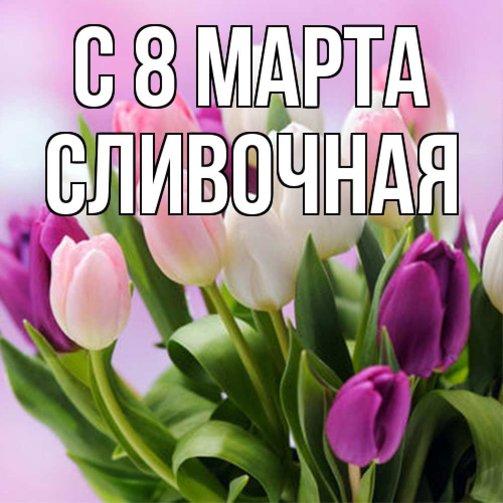 Открытка на каждый день с именем, Сливочная C 8 МАРТА весна март Прикольная открытка с пожеланием онлайн скачать бесплатно 