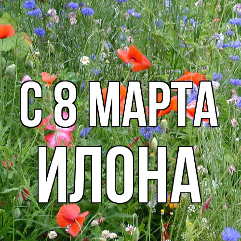 Картинка C 8 МАРТА, Илона