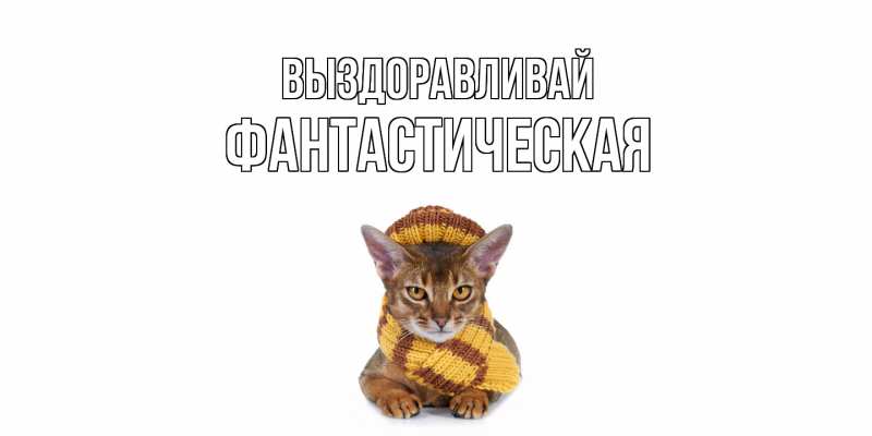 Картинка Выздоравливай, Фантастическая