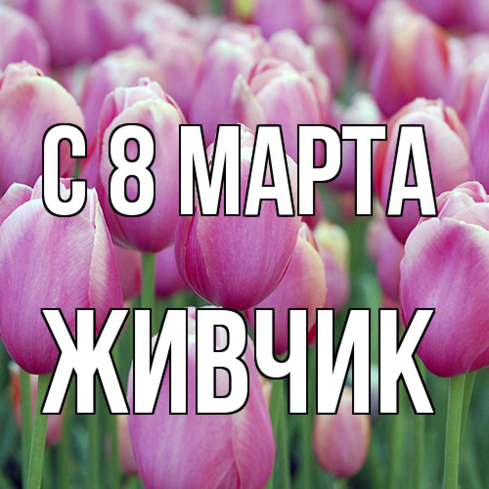 Открытка на каждый день с именем, Живчик C 8 МАРТА на международный женский день 3 Прикольная открытка с пожеланием онлайн скачать бесплатно 