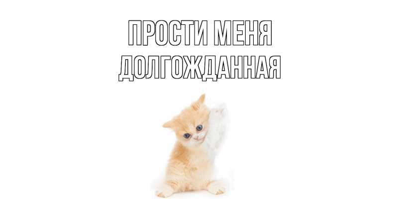 Картинка Прости меня, Долгожданная