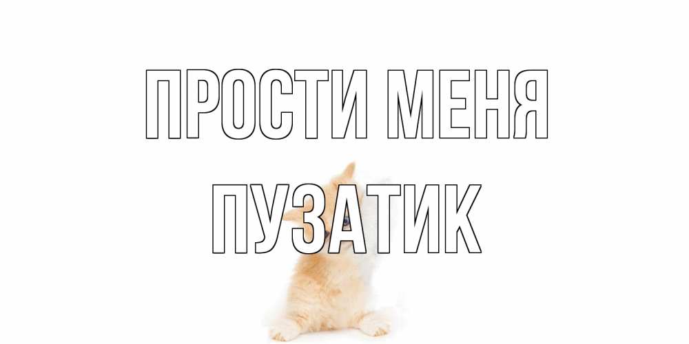 Открытка на каждый день с именем, Пузатик Прости меня кот Прикольная открытка с пожеланием онлайн скачать бесплатно 