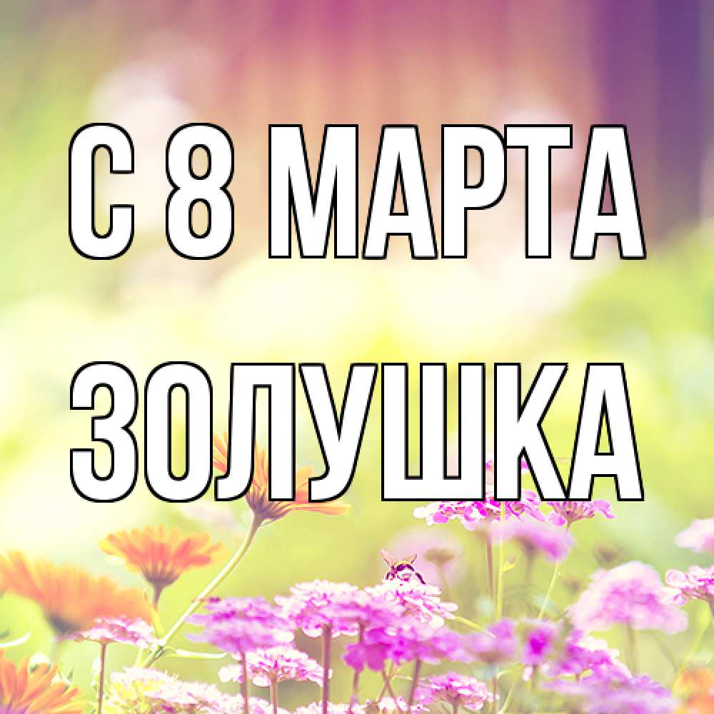 Открытка на каждый день с именем, Золушка C 8 МАРТА цветы весна Прикольная открытка с пожеланием онлайн скачать бесплатно 