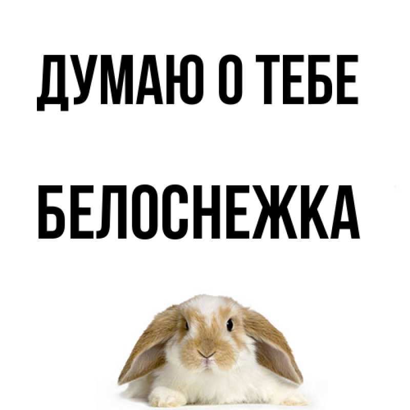 Картинка Думаю о тебе, Белоснежка