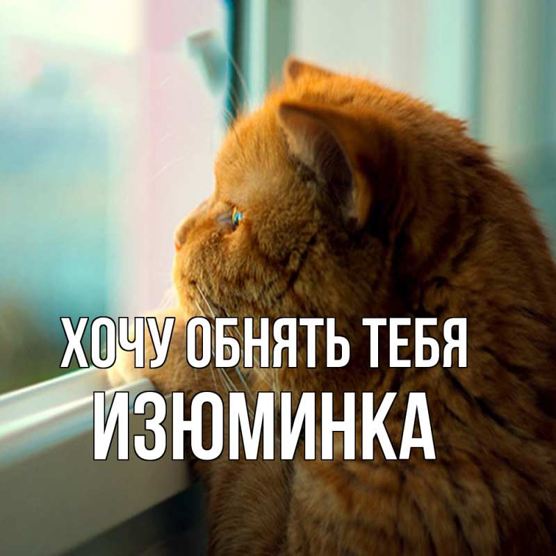 Картинка Хочу обнять тебя, изюминка