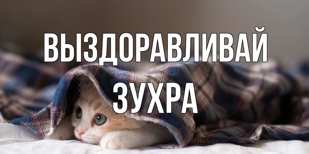 Открытка на каждый день с именем, Зухра Выздоравливай не болейте с котиком Прикольная открытка с пожеланием онлайн скачать бесплатно 