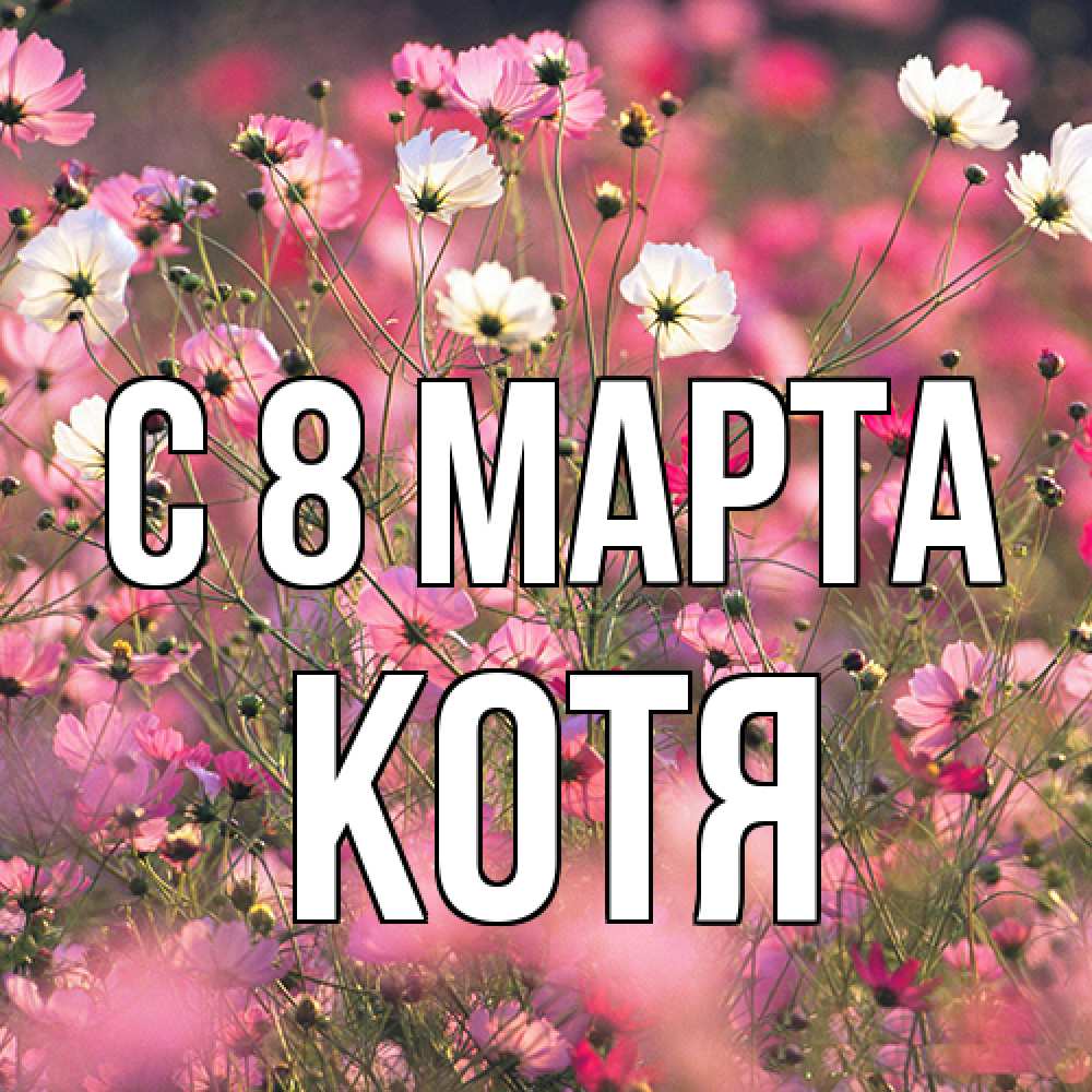 Открытка на каждый день с именем, Котя C 8 МАРТА красиво 1 Прикольная открытка с пожеланием онлайн скачать бесплатно 