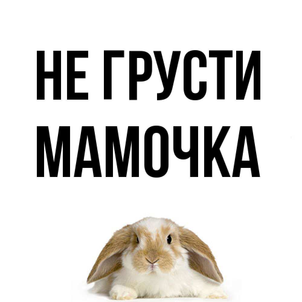 Открытка на каждый день с именем, Мамочка Не грусти коричнево белый заяц с большими ушками Прикольная открытка с пожеланием онлайн скачать бесплатно 
