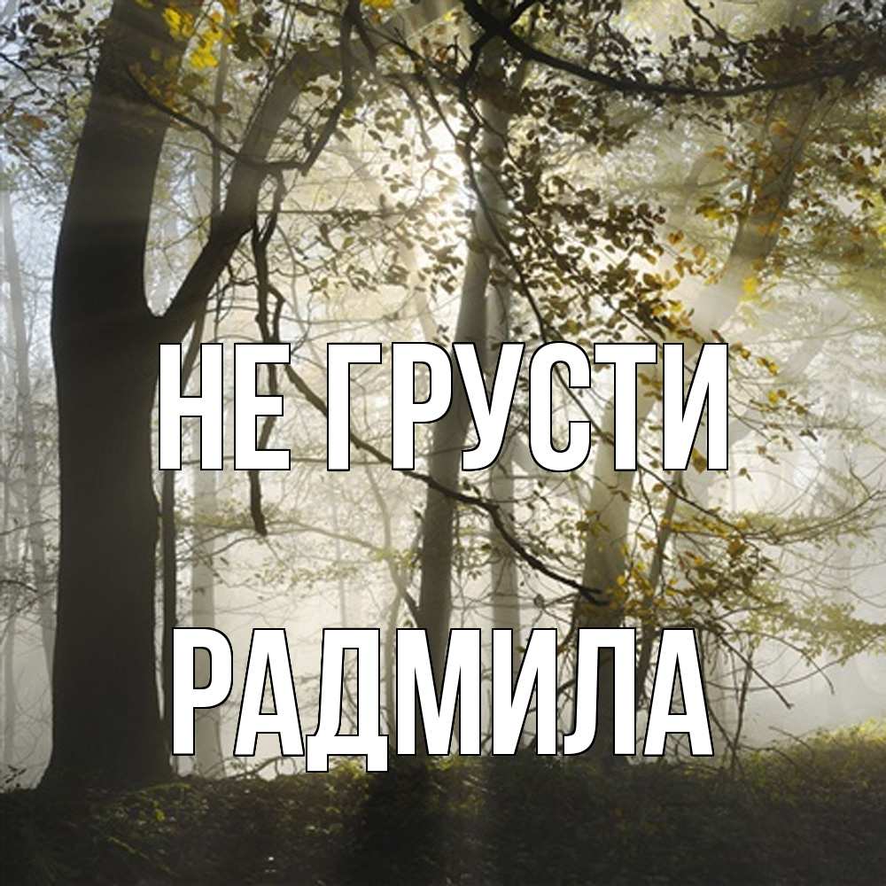 Открытка на каждый день с именем, Радмила Не грусти лес и свет Прикольная открытка с пожеланием онлайн скачать бесплатно 