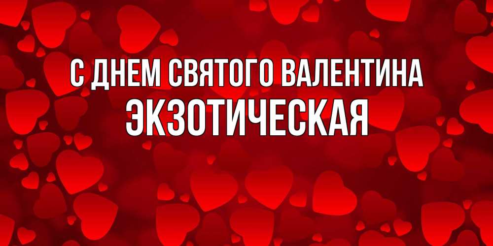 Открытка на каждый день с именем, Экзотическая С днем Святого Валентина новые бесплатные открытки на 14 февраля, день всех влюбленных Прикольная открытка с пожеланием онлайн скачать бесплатно 