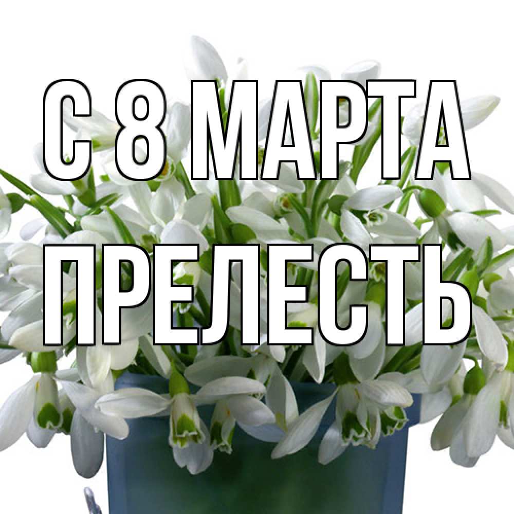 Открытка на каждый день с именем, прелесть C 8 МАРТА цветы к международному женскому дню Прикольная открытка с пожеланием онлайн скачать бесплатно 