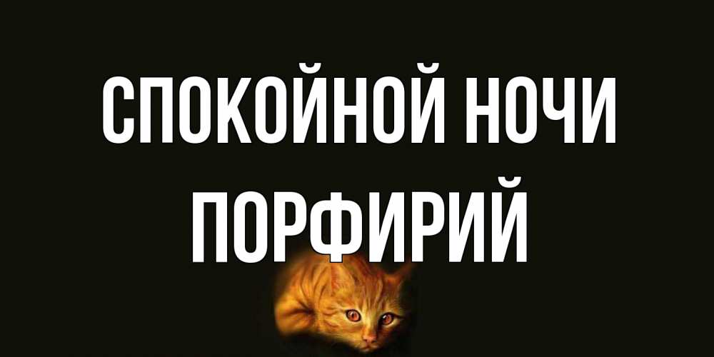 Открытка на каждый день с именем, Порфирий Спокойной ночи кот Прикольная открытка с пожеланием онлайн скачать бесплатно 