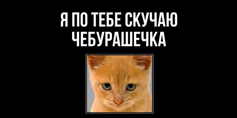 Картинка Я по тебе скучаю, Чебурашечка