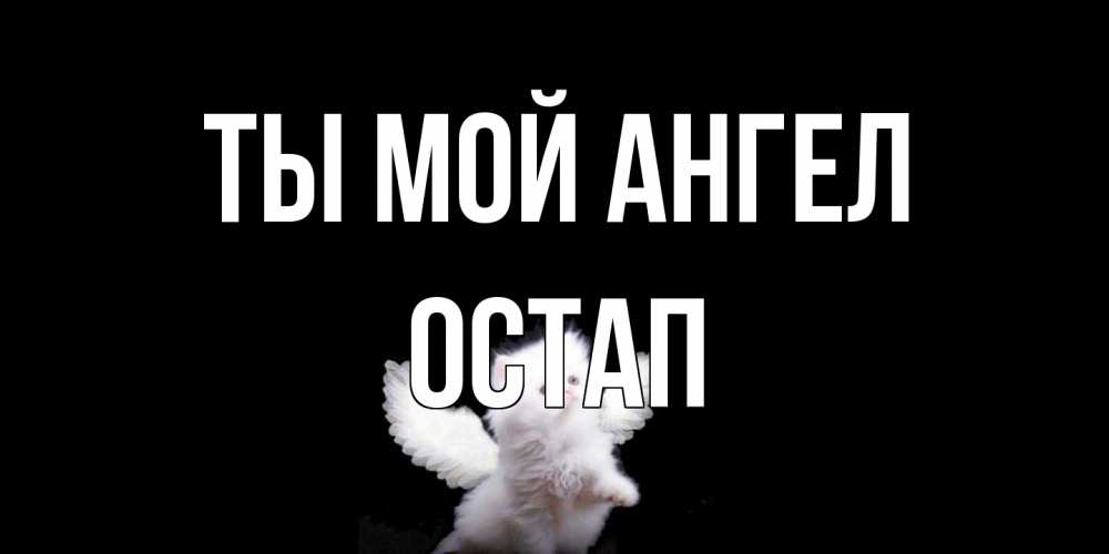 Открытка на каждый день с именем, Остап Ты мой ангел Кот ангел Прикольная открытка с пожеланием онлайн скачать бесплатно 