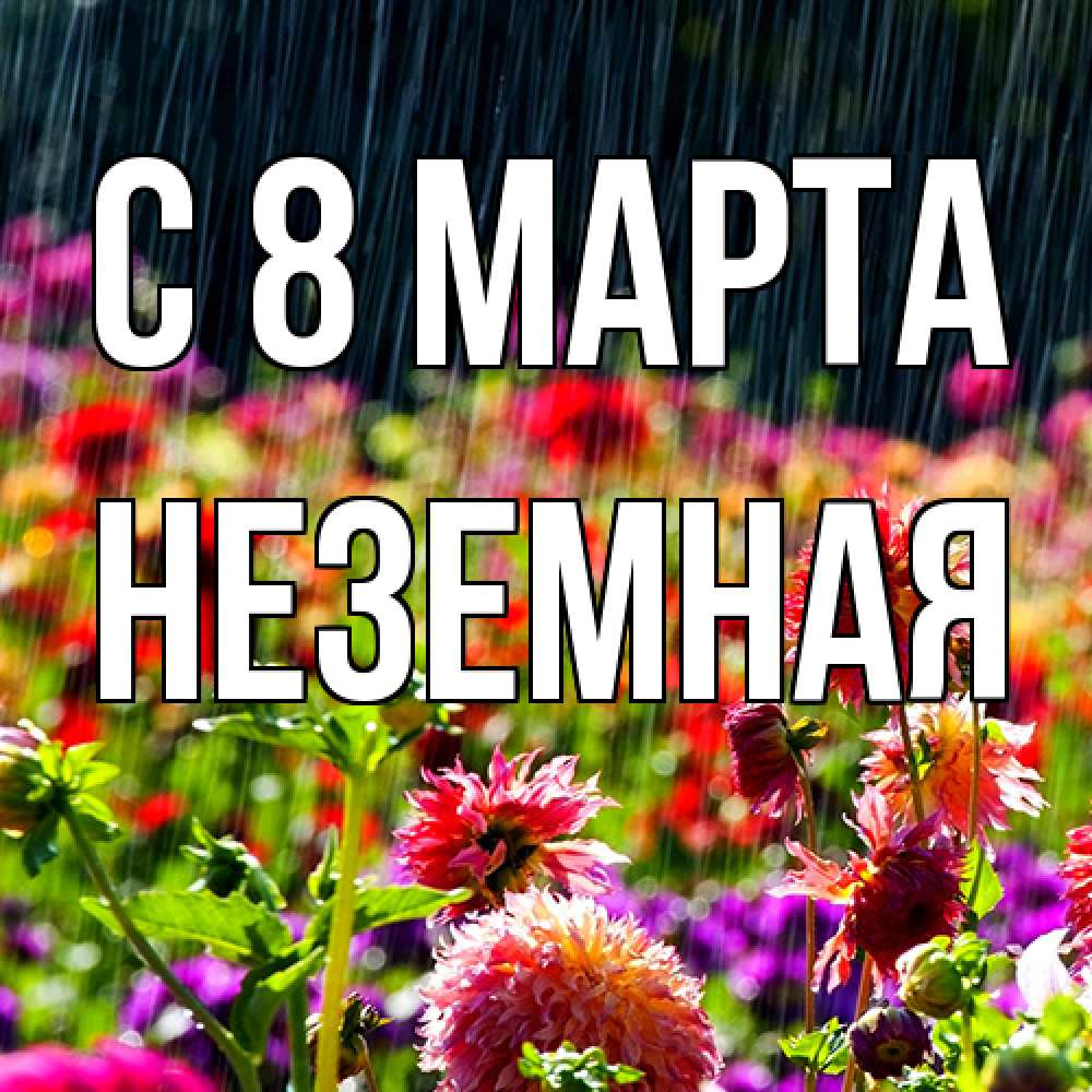 Открытка на каждый день с именем, неземная C 8 МАРТА цветы под дождиком к международному женскому дню Прикольная открытка с пожеланием онлайн скачать бесплатно 