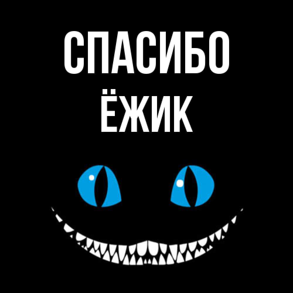 Открытка на каждый день с именем, Ёжик Спасибо благодарю от чеширика Прикольная открытка с пожеланием онлайн скачать бесплатно 