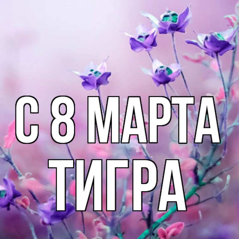 Картинка C 8 МАРТА, Тигpа