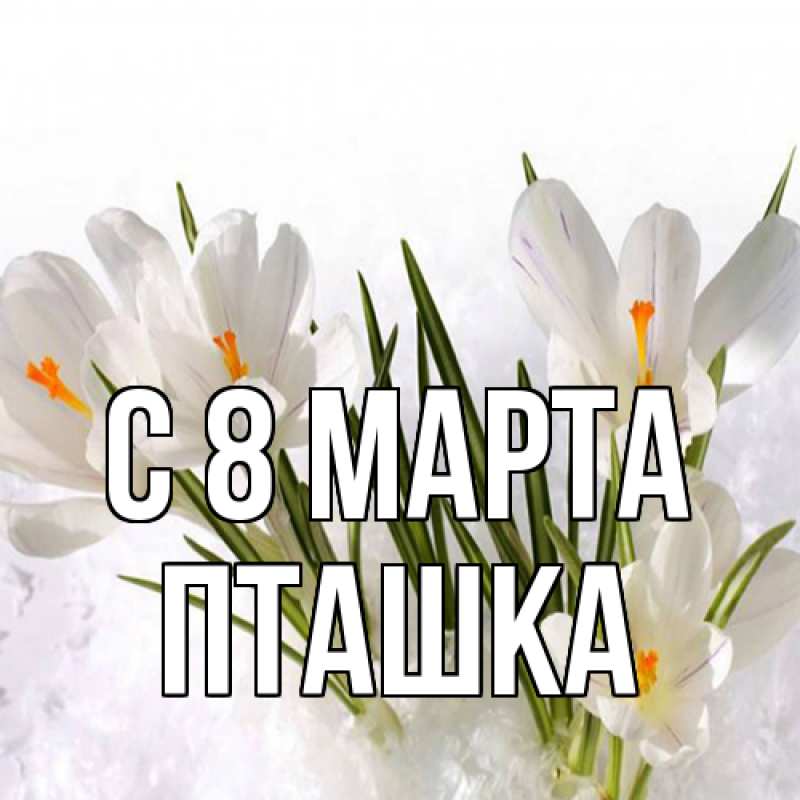 Картинка C 8 МАРТА, пташка