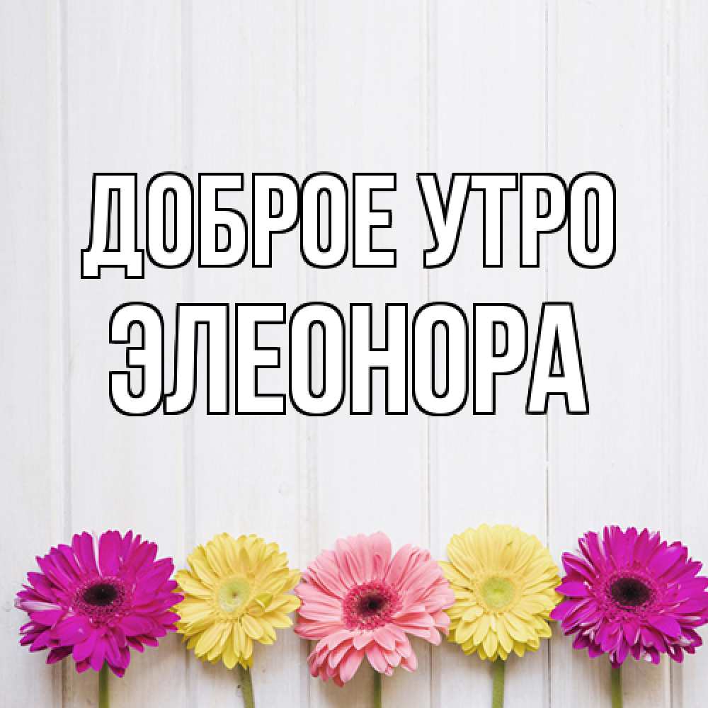 Открытка на каждый день с именем, Элеонора Доброе утро красный желтый и розовый цветок Прикольная открытка с пожеланием онлайн скачать бесплатно 