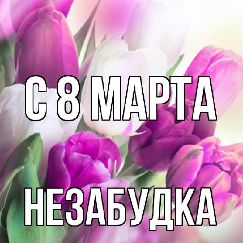 Картинка C 8 МАРТА, Незабудка
