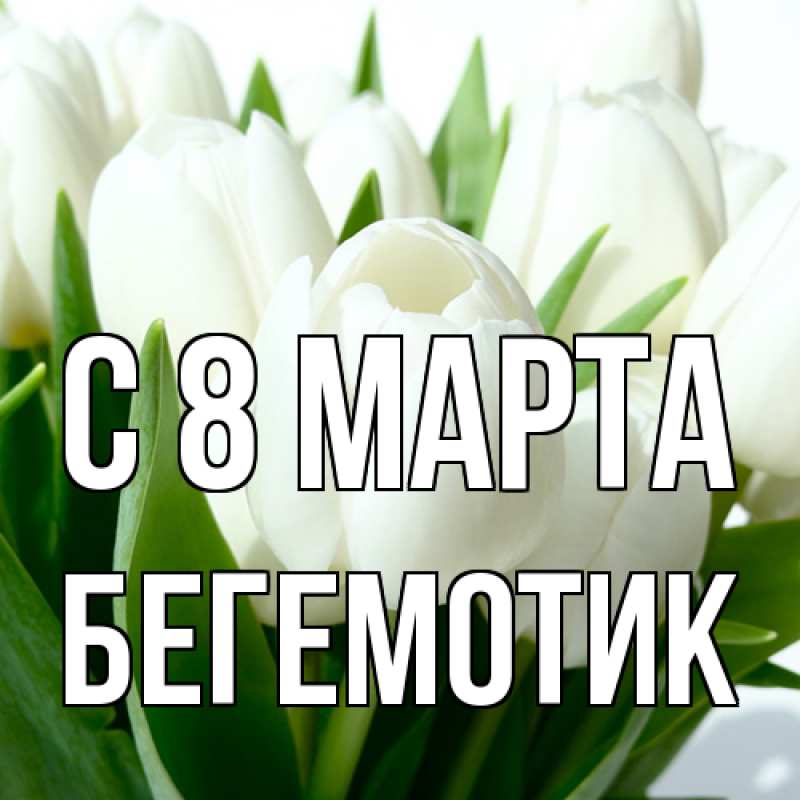 Открытка с именем, Бегемотик, C 8 МАРТА