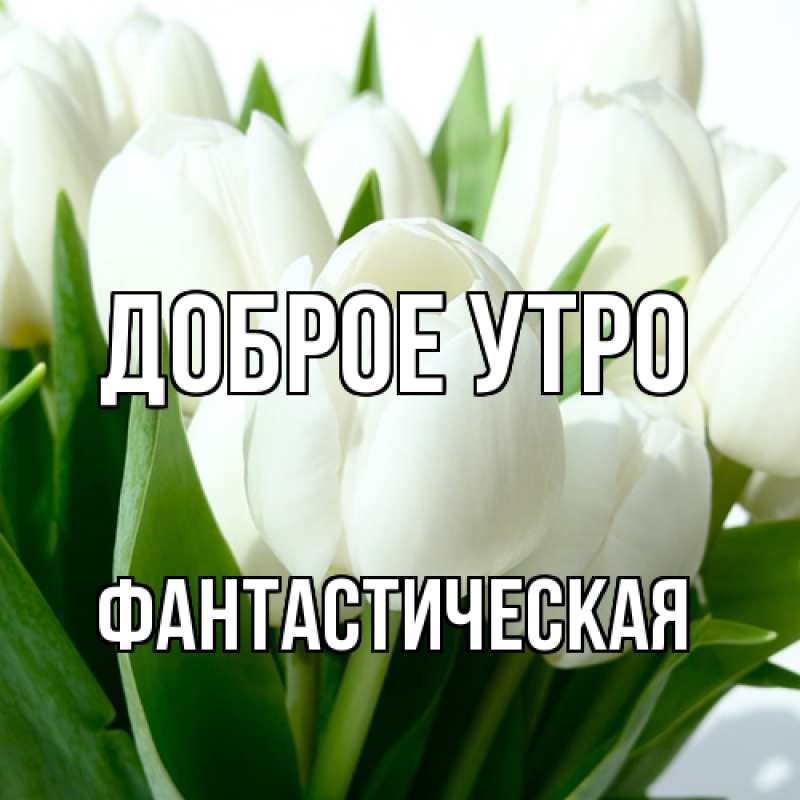 Картинка Доброе утро, Фантастическая