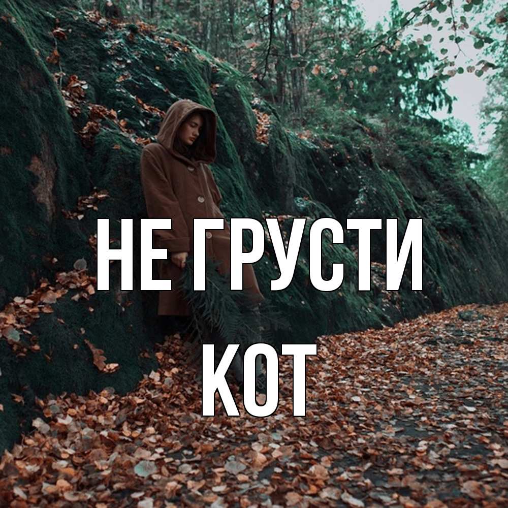 Открытка на каждый день с именем, Кот Не грусти осенний лес Прикольная открытка с пожеланием онлайн скачать бесплатно 
