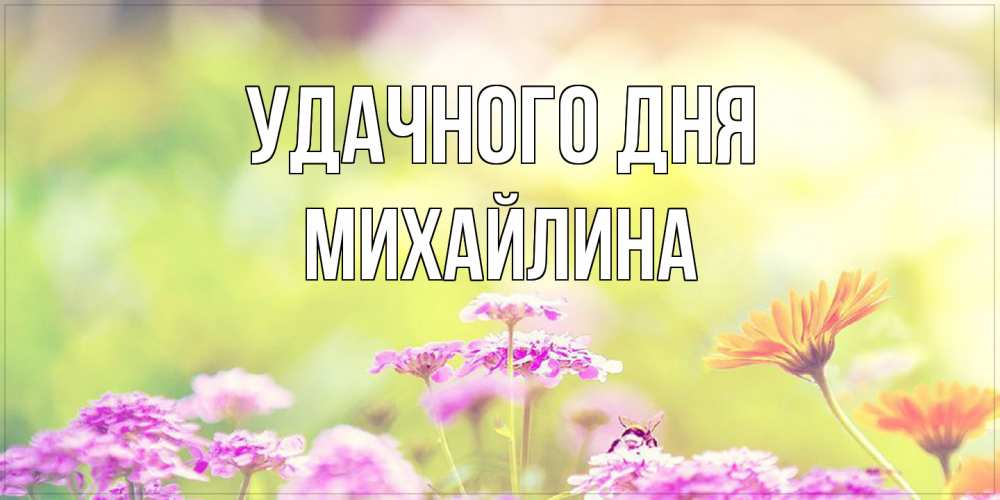 Открытка на каждый день с именем, Михайлина Удачного дня красивая открытка с летней темой Прикольная открытка с пожеланием онлайн скачать бесплатно 