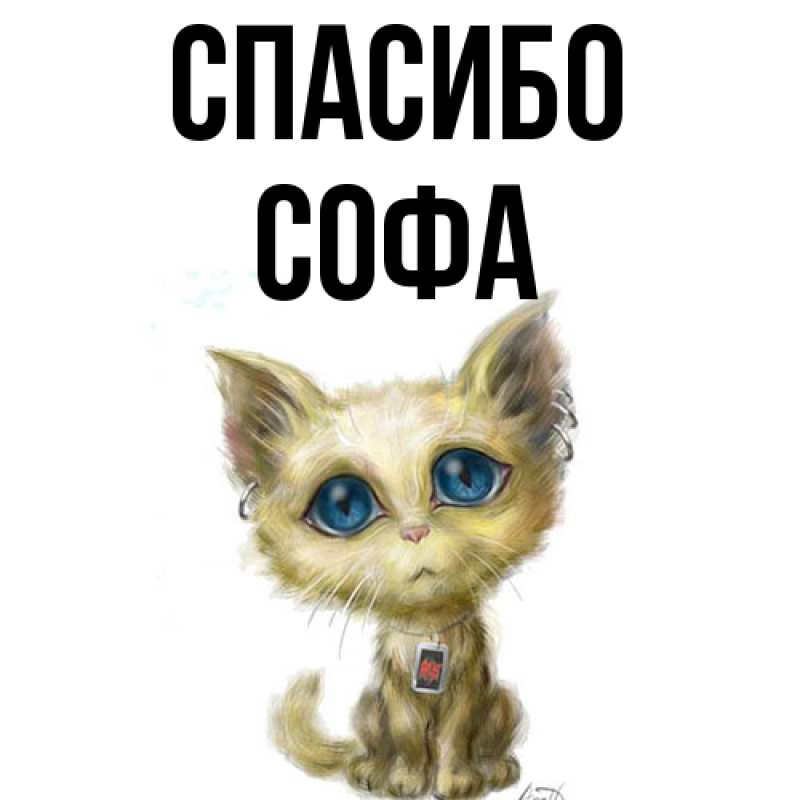 Картинка Спасибо, Софа