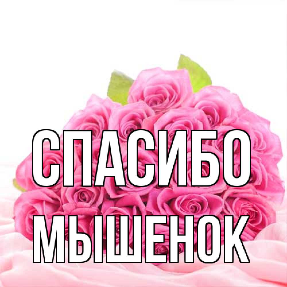 Открытка на каждый день с именем, Мышенок Спасибо розовые розы с подписью Прикольная открытка с пожеланием онлайн скачать бесплатно 