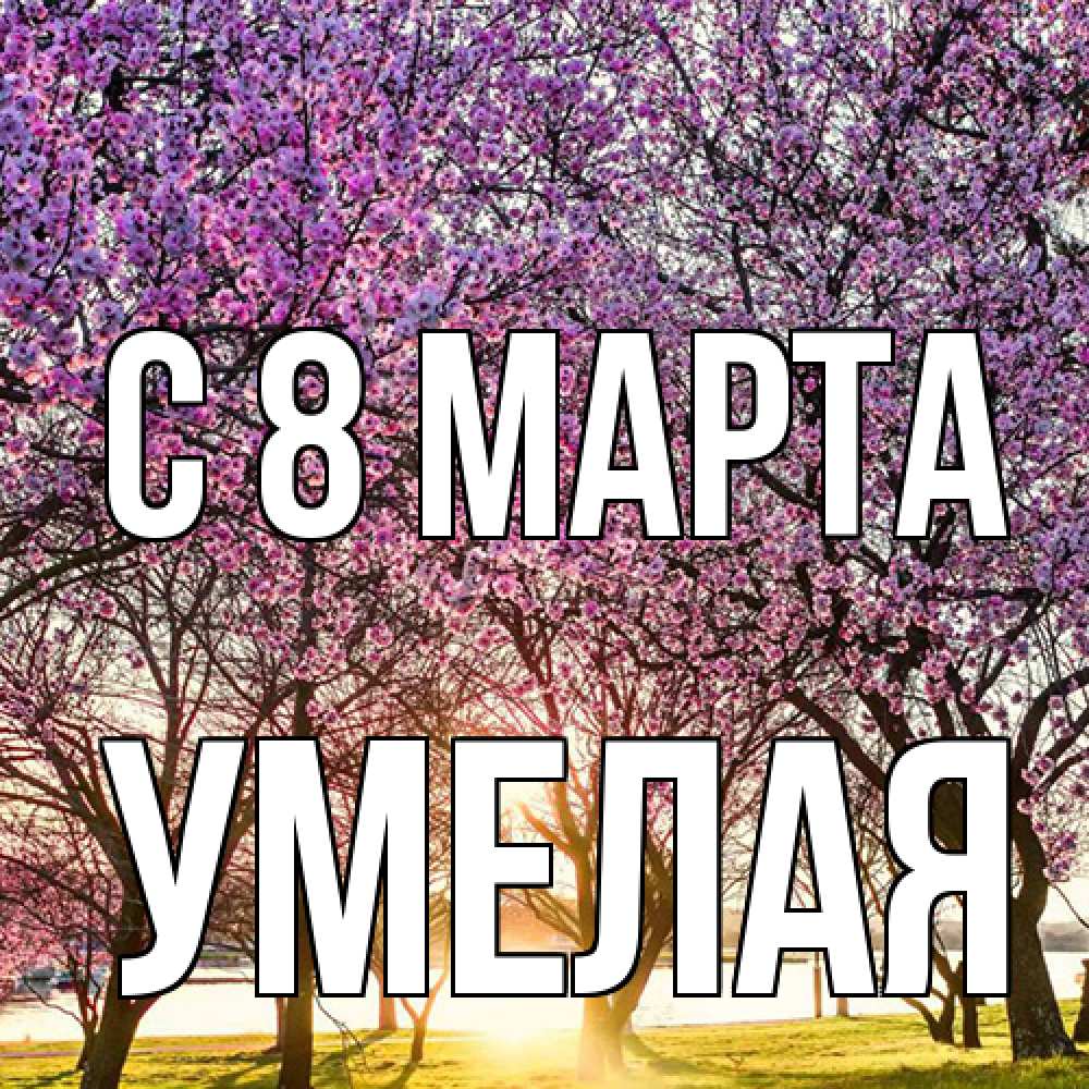 Открытка на каждый день с именем, Умелая C 8 МАРТА международный женский день Прикольная открытка с пожеланием онлайн скачать бесплатно 