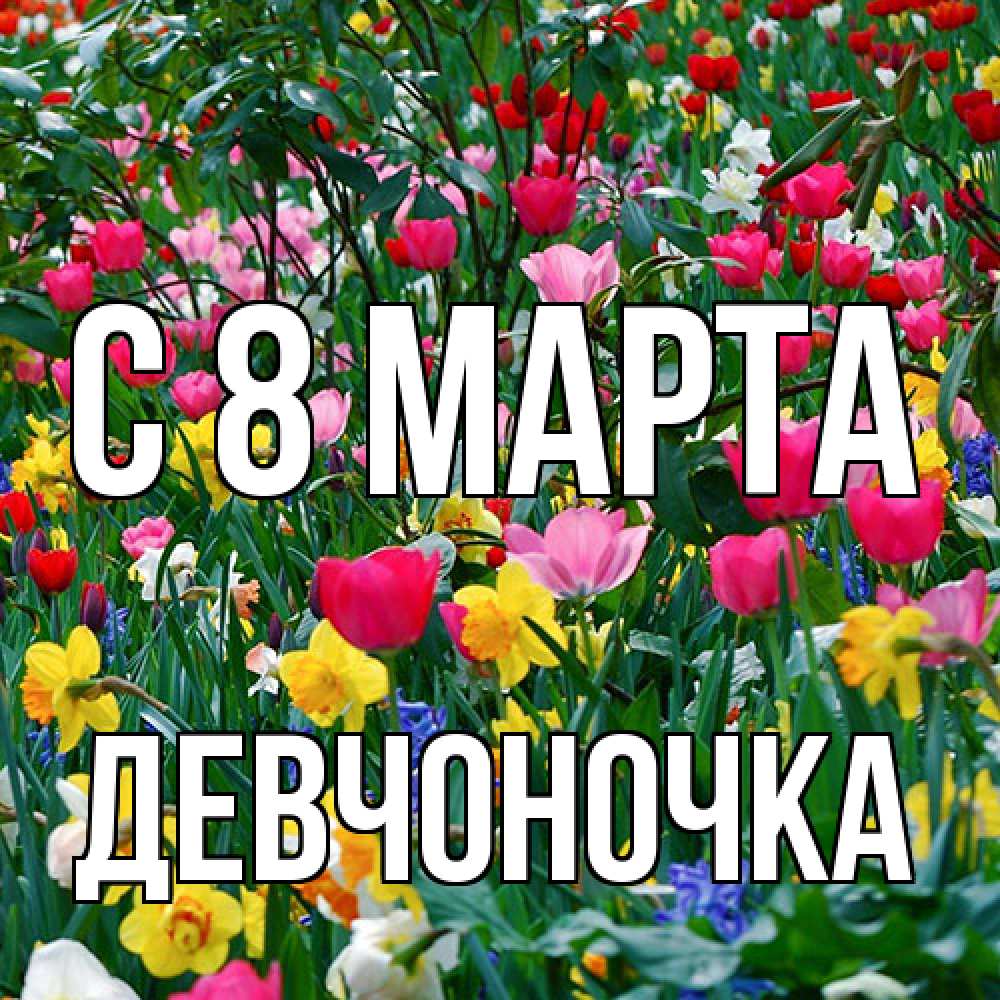 Открытка на каждый день с именем, девчоночка C 8 МАРТА с международным женским днем поздравления для женщины Прикольная открытка с пожеланием онлайн скачать бесплатно 
