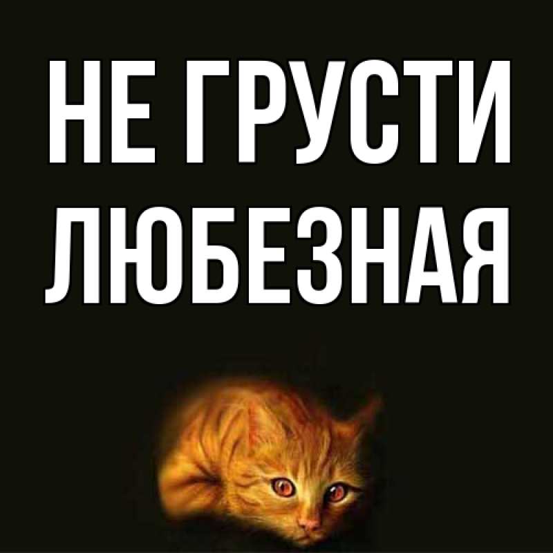 Картинка Не грусти, любезная