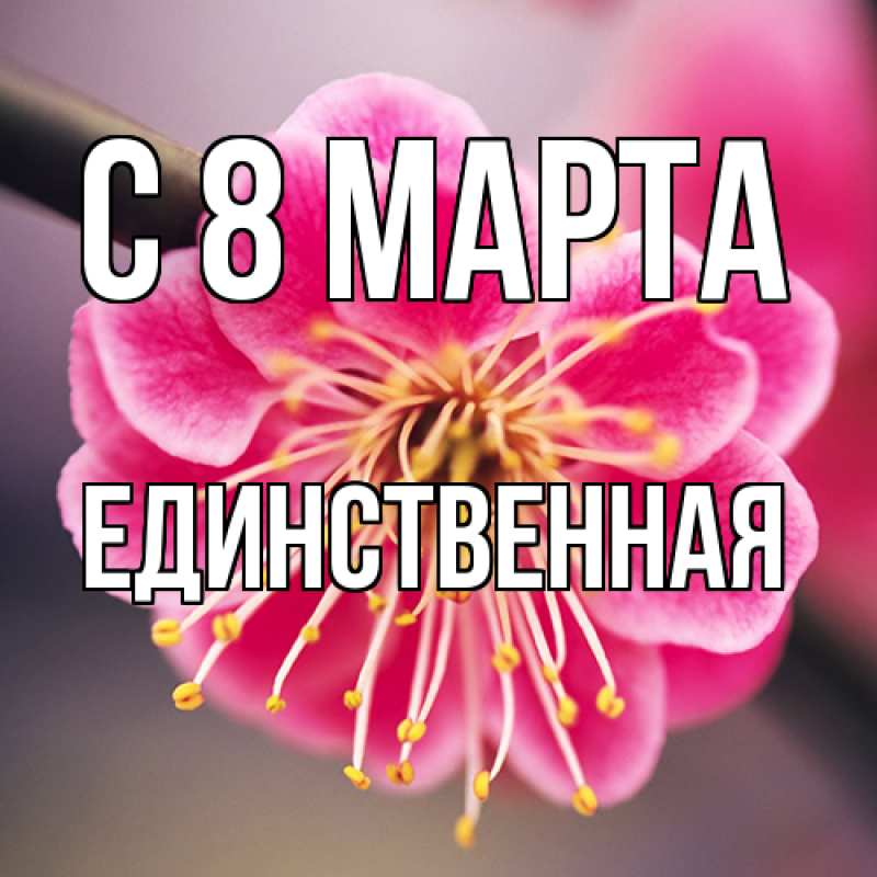 Картинка C 8 МАРТА, Единственная