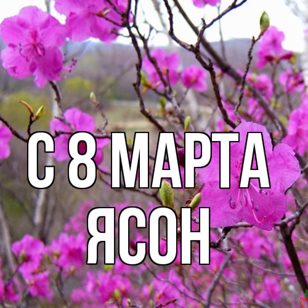 Открытка на каждый день с именем, Ясон C 8 МАРТА международный женский день Прикольная открытка с пожеланием онлайн скачать бесплатно 