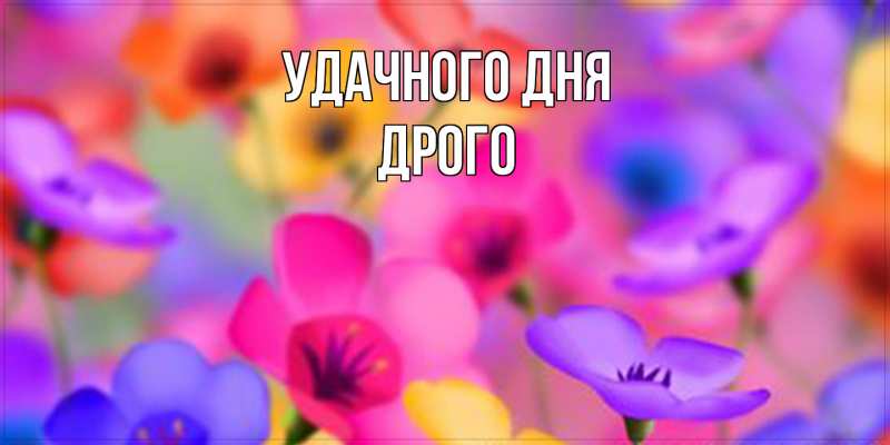 Картинка Удачного дня, Дрого