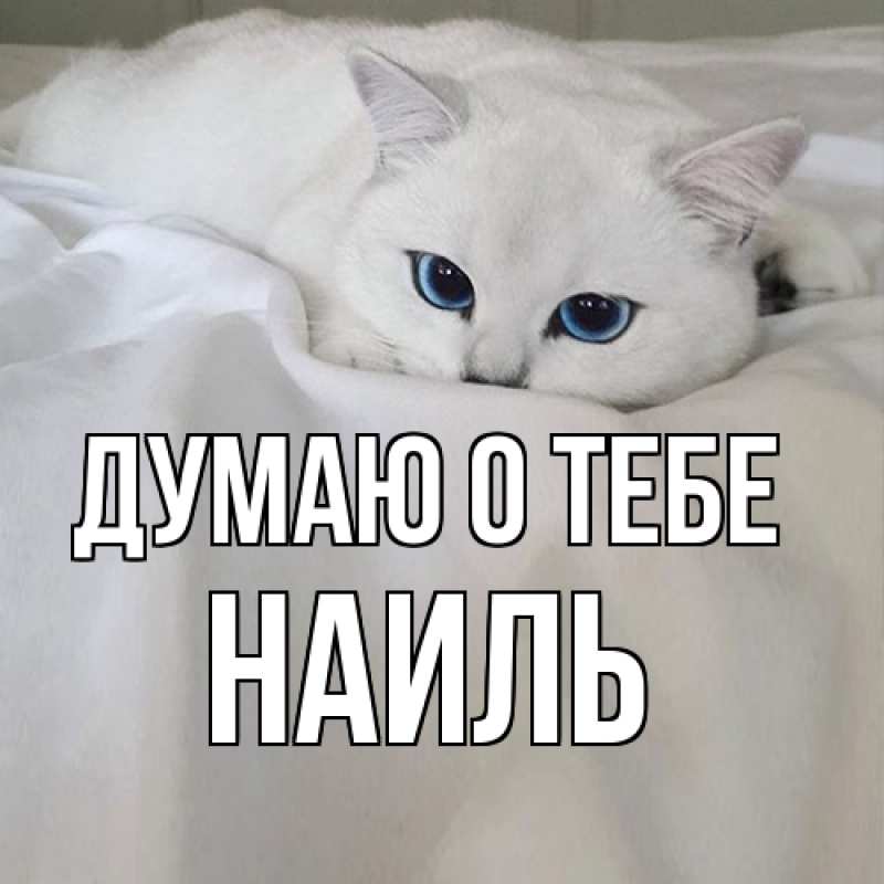 Картинка Думаю о тебе, Наиль