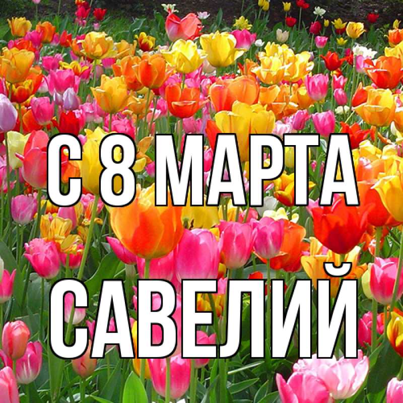 Картинка C 8 МАРТА, Савелий