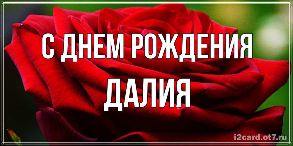 Открытка на каждый день с именем, Далия С днем рождения розочка очень красивая Прикольная открытка с пожеланием онлайн скачать бесплатно 