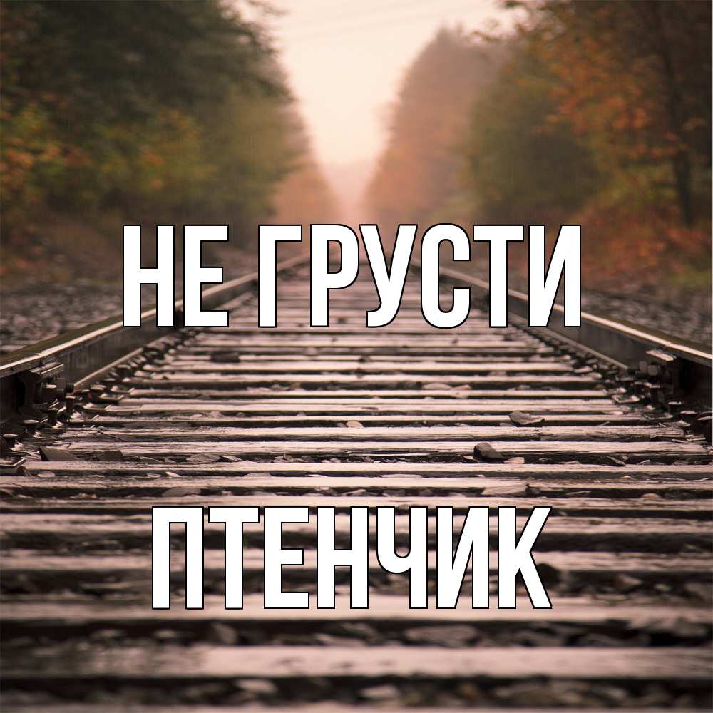 Открытка на каждый день с именем, Птенчик Не грусти лес и железная дорога Прикольная открытка с пожеланием онлайн скачать бесплатно 