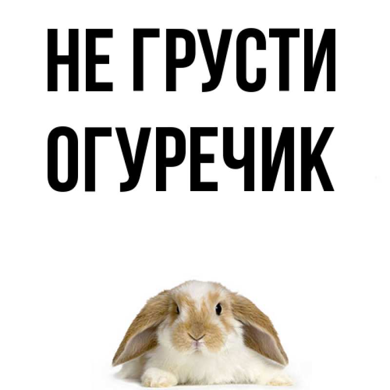 Картинка Не грусти, Огуречик