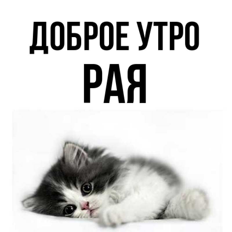 Картинка Доброе утро, Рая