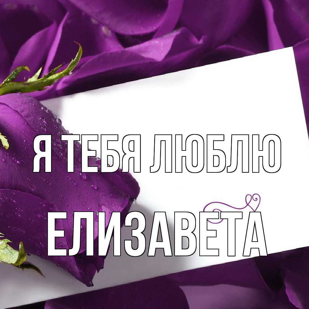 Открытка на каждый день с именем, Елизавета Я тебя люблю роза Прикольная открытка с пожеланием онлайн скачать бесплатно 