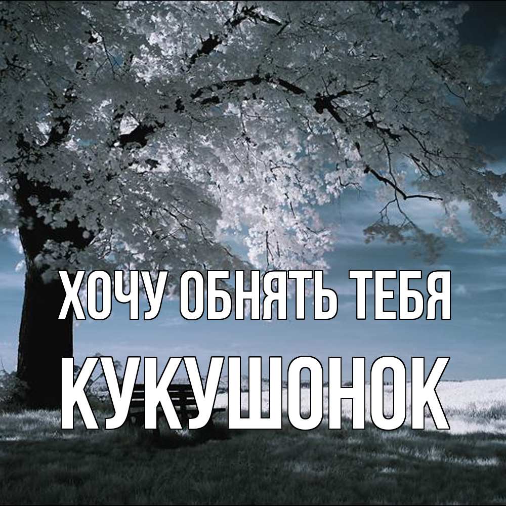 Открытка на каждый день с именем, кукушонок Хочу обнять тебя дерево Прикольная открытка с пожеланием онлайн скачать бесплатно 