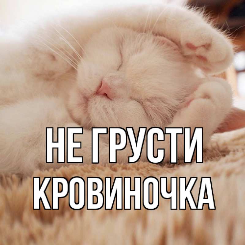 Картинка Не грусти, кровиночка