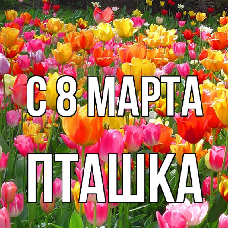 Картинка C 8 МАРТА, пташка