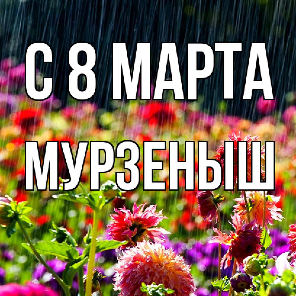 Открытка на каждый день с именем, мурзеныш C 8 МАРТА цветы под дождиком к международному женскому дню Прикольная открытка с пожеланием онлайн скачать бесплатно 