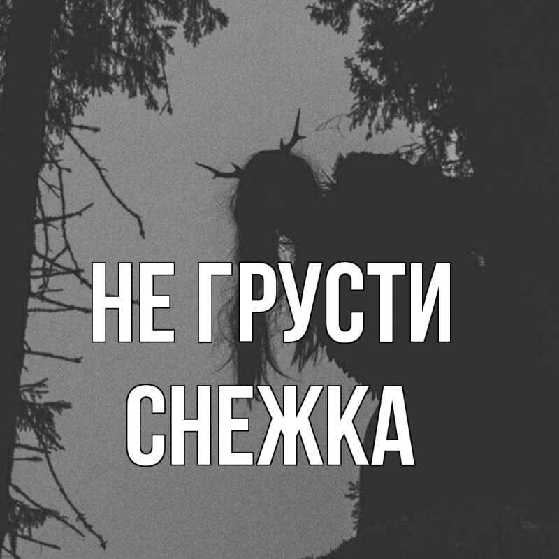 Картинка Не грусти, Снежка