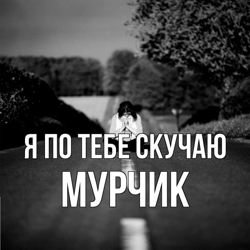 Картинка Я по тебе скучаю, Мурчик