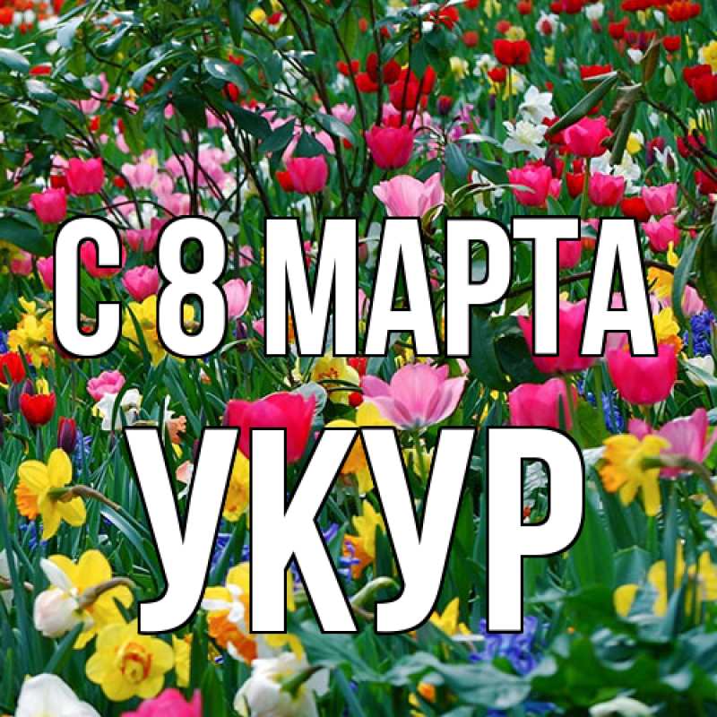Картинка C 8 МАРТА, Укур